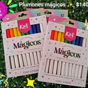 Plumones Mágicos 12 pz